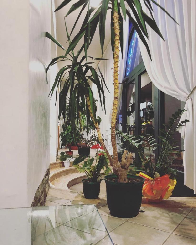 Albergo La Posta Arezzo バディア・アル・ピノ エクステリア 写真